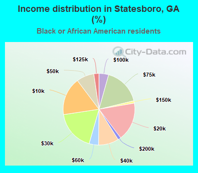 Income distribution in Statesboro, GA (%)