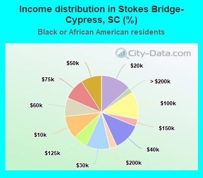 Income distribution in Stokes Bridge-Cypress, SC (%)