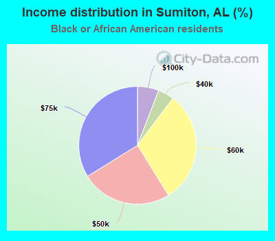 Income distribution in Sumiton, AL (%)