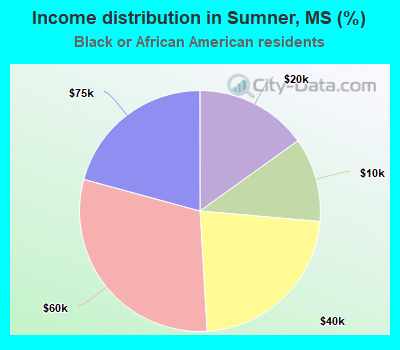 Income distribution in Sumner, MS (%)