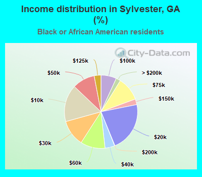 Income distribution in Sylvester, GA (%)