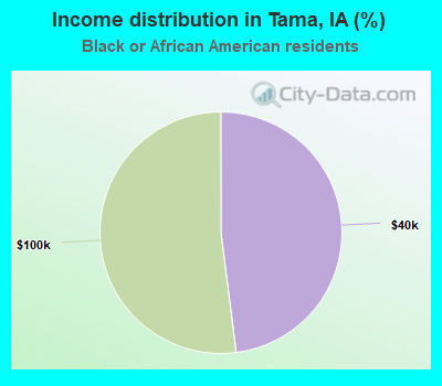 Income distribution in Tama, IA (%)