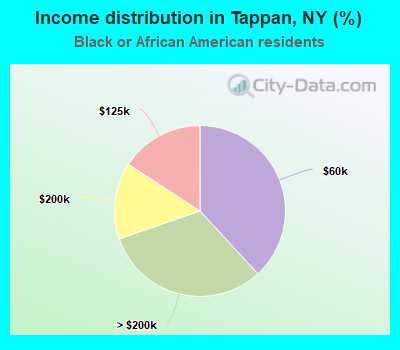 Income distribution in Tappan, NY (%)