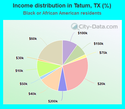 Income distribution in Tatum, TX (%)