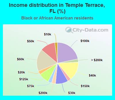Income distribution in Temple Terrace, FL (%)