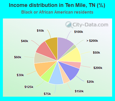 Income distribution in Ten Mile, TN (%)