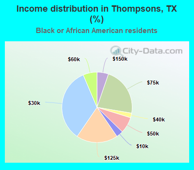 Income distribution in Thompsons, TX (%)