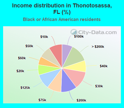 Income distribution in Thonotosassa, FL (%)