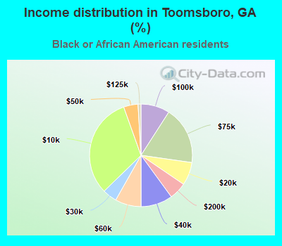 Income distribution in Toomsboro, GA (%)