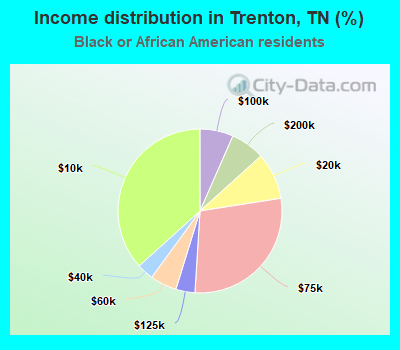 Income distribution in Trenton, TN (%)