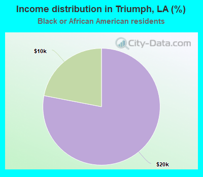 Income distribution in Triumph, LA (%)