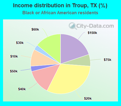 Income distribution in Troup, TX (%)