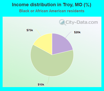 Income distribution in Troy, MO (%)