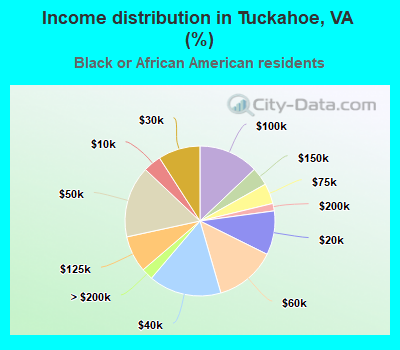 Income distribution in Tuckahoe, VA (%)