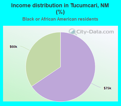 Income distribution in Tucumcari, NM (%)