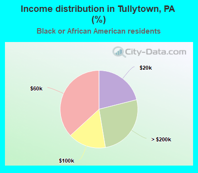 Income distribution in Tullytown, PA (%)