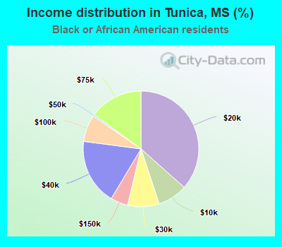 Income distribution in Tunica, MS (%)