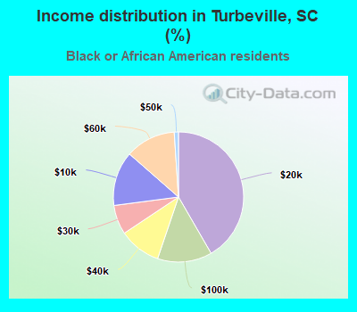 Income distribution in Turbeville, SC (%)