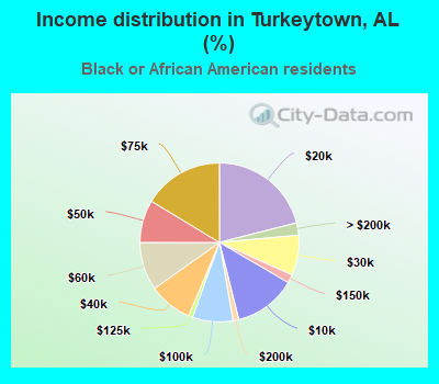 Income distribution in Turkeytown, AL (%)