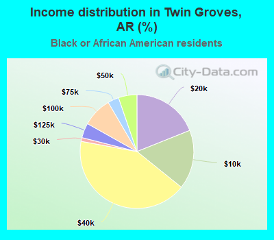 Income distribution in Twin Groves, AR (%)