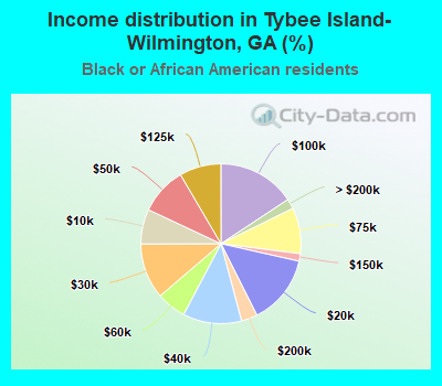 Income distribution in Tybee Island-Wilmington, GA (%)