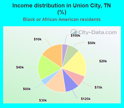 Income distribution in Union City, TN (%)