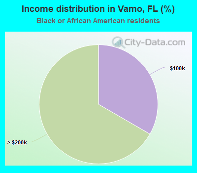 Income distribution in Vamo, FL (%)