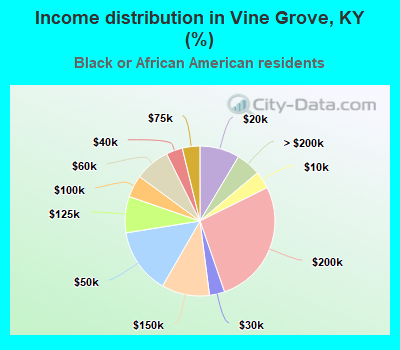 Income distribution in Vine Grove, KY (%)