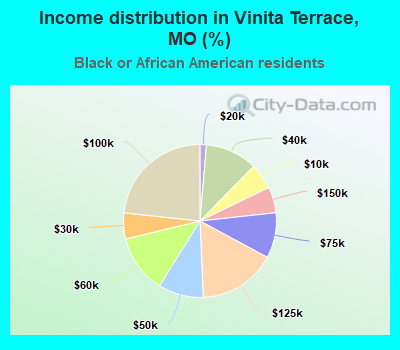 Income distribution in Vinita Terrace, MO (%)