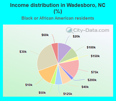Income distribution in Wadesboro, NC (%)
