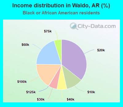 Income distribution in Waldo, AR (%)