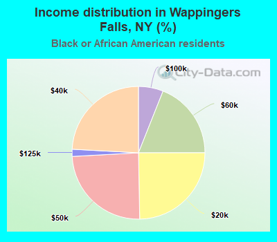 Income distribution in Wappingers Falls, NY (%)