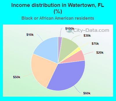 Income distribution in Watertown, FL (%)