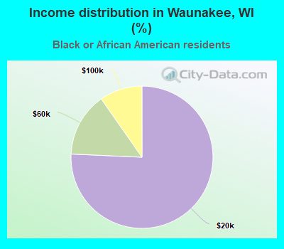 Income distribution in Waunakee, WI (%)