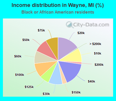 Income distribution in Wayne, MI (%)