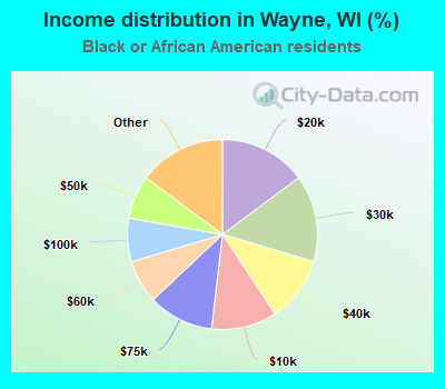 Income distribution in Wayne, WI (%)