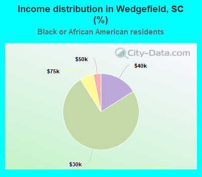 Income distribution in Wedgefield, SC (%)