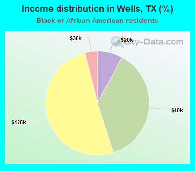 Income distribution in Wells, TX (%)