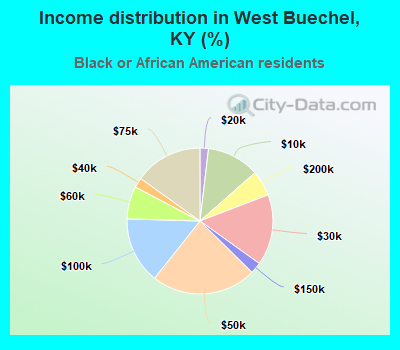 Income distribution in West Buechel, KY (%)