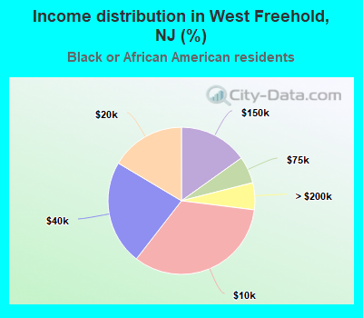 Income distribution in West Freehold, NJ (%)