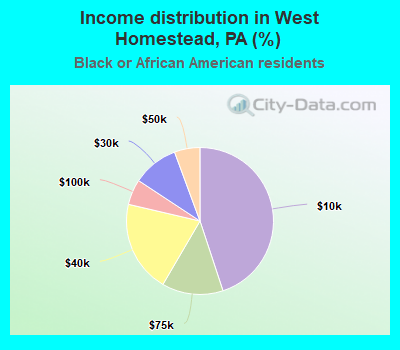 Income distribution in West Homestead, PA (%)