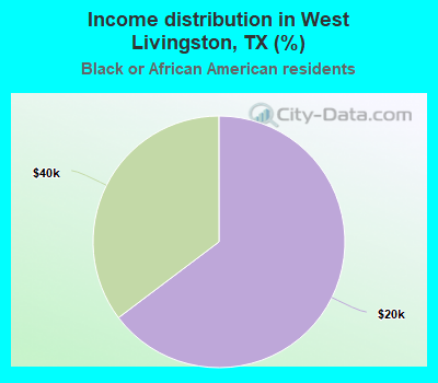 Income distribution in West Livingston, TX (%)