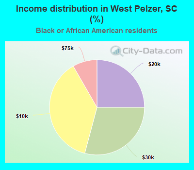 Income distribution in West Pelzer, SC (%)