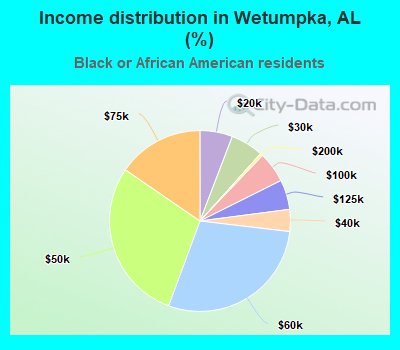 Income distribution in Wetumpka, AL (%)