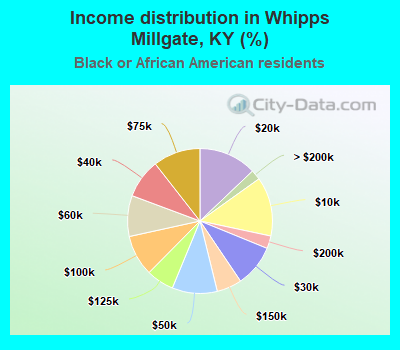 Income distribution in Whipps Millgate, KY (%)