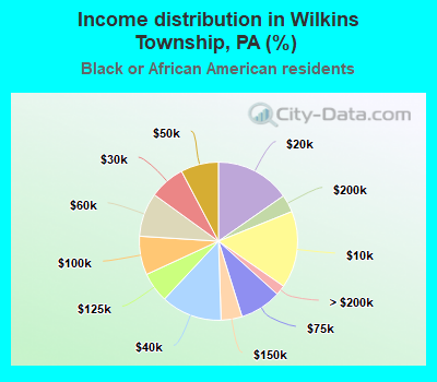 Income distribution in Wilkins Township, PA (%)