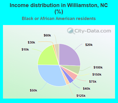 Income distribution in Williamston, NC (%)