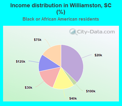 Income distribution in Williamston, SC (%)