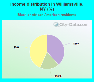 Income distribution in Williamsville, NY (%)
