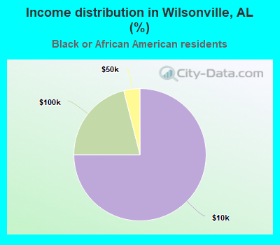Income distribution in Wilsonville, AL (%)